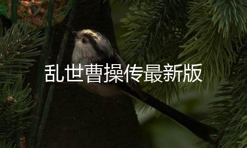 乱世曹操传最新版