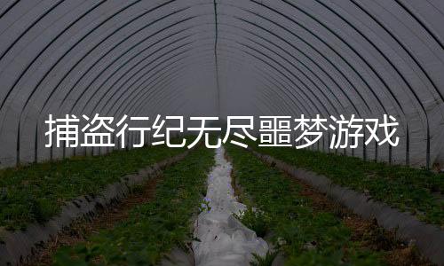 捕盗行纪无尽噩梦游戏