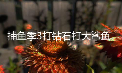 捕鱼季3打钻石打大鲨鱼