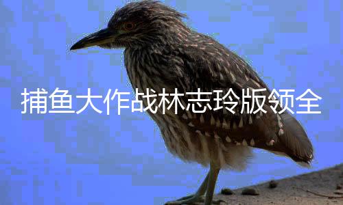 捕鱼大作战林志玲版领全币