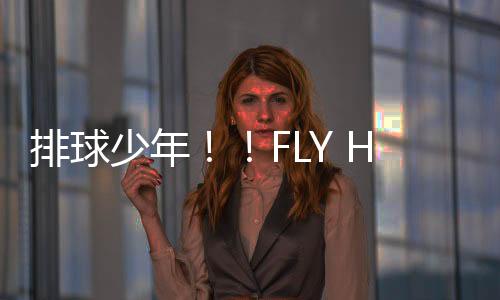 排球少年！！FLY HIGH游戏官方版