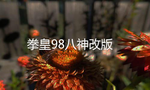 拳皇98八神改版