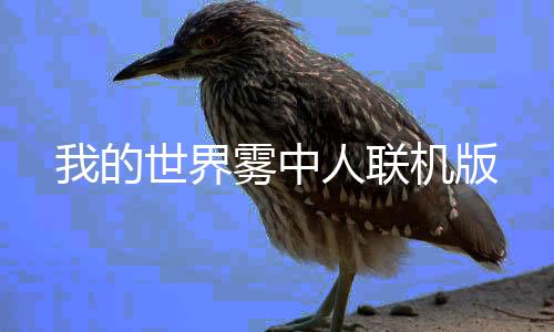 我的世界雾中人联机版
