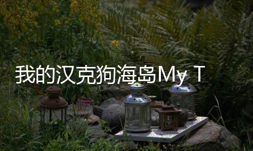 我的汉克狗海岛My Talking Hank: Islands官方版最新版