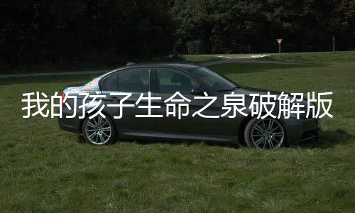 我的孩子生命之泉破解版