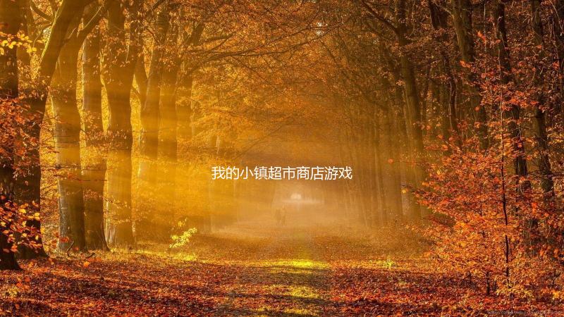 我的小镇超市商店游戏