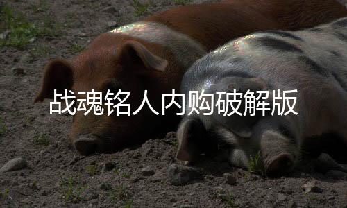 战魂铭人内购破解版