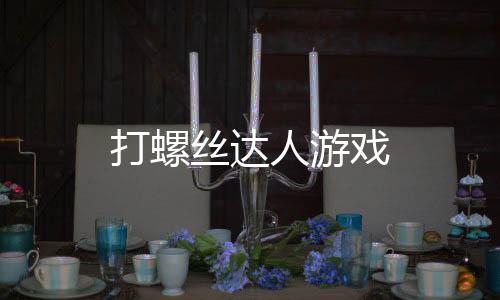 打螺丝达人游戏