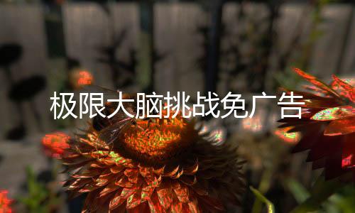 极限大脑挑战免广告