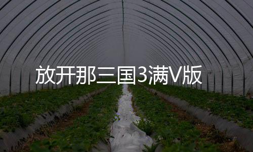 放开那三国3满V版