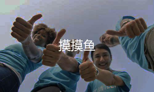摸摸鱼