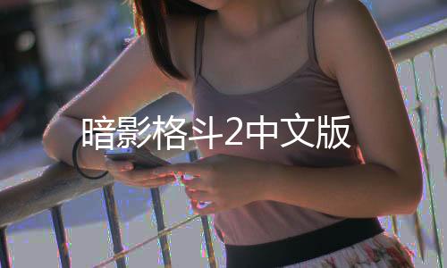 暗影格斗2中文版