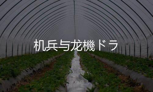 机兵与龙機ドラ