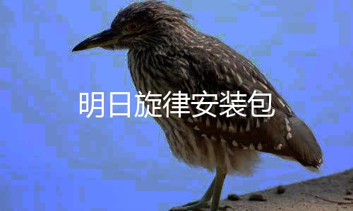 明日旋律安装包