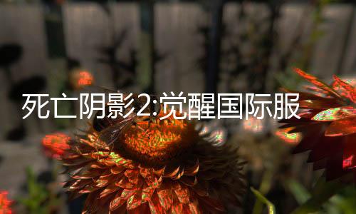 死亡阴影2:觉醒国际服