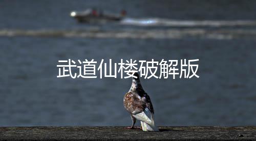 武道仙楼破解版