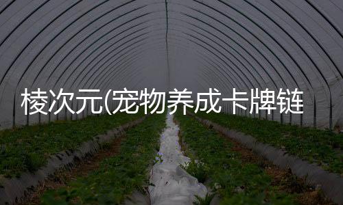 棱次元(宠物养成卡牌链游)