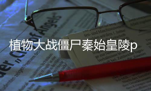 植物大战僵尸秦始皇陵pak手机版