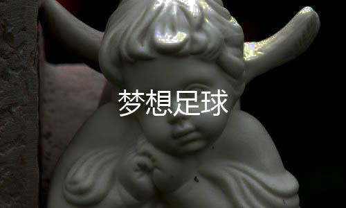 梦想足球