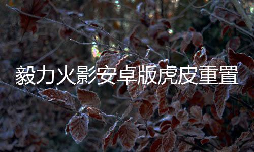 毅力火影安卓版虎皮重置