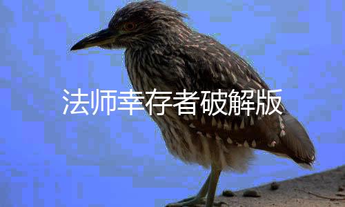 法师幸存者破解版