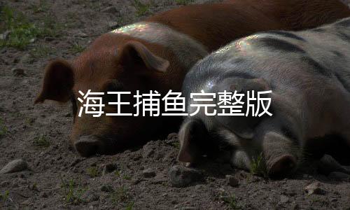 海王捕鱼完整版