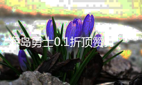 海岛勇士0.1折顶赞打金版