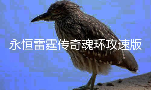 永恒雷霆传奇魂环攻速版