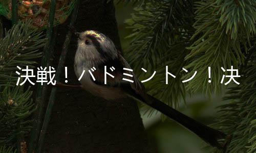 決戦！バドミントン！决战羽毛球日服