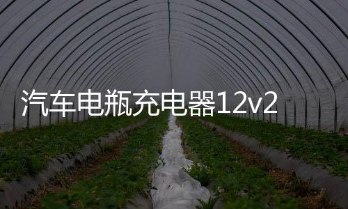 汽车电瓶充电器12v24v伏通用型60a全自动智能大功率蓄电池充电机