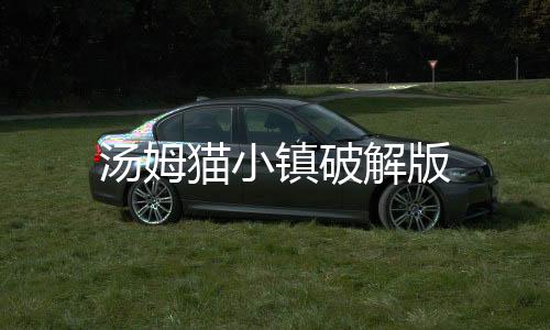 汤姆猫小镇破解版