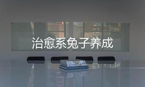治愈系兔子养成