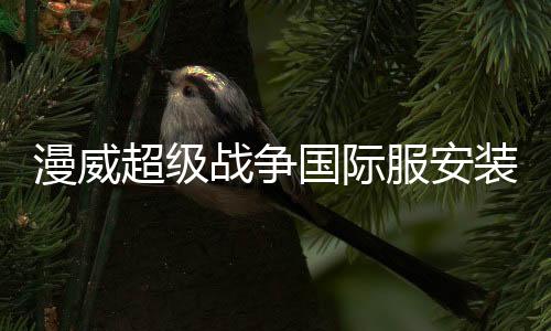 漫威超级战争国际服安装器