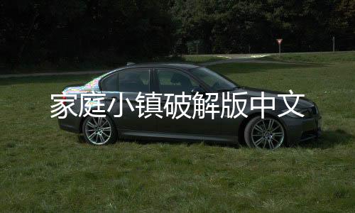 家庭小镇破解版中文
