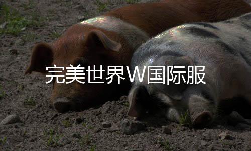 完美世界W国际服
