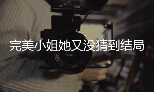 完美小姐她又没猜到结局免广告