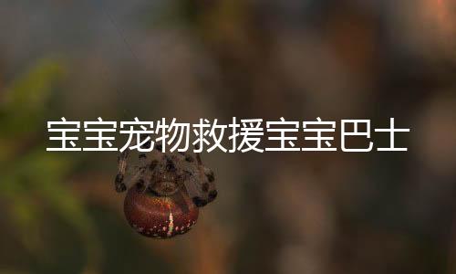 宝宝宠物救援宝宝巴士