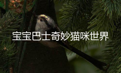 宝宝巴士奇妙猫咪世界