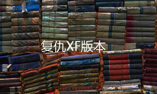 复仇XF版本