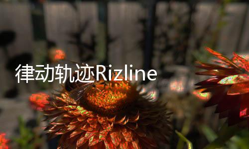 律动轨迹Rizline国际服