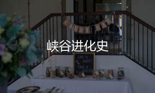 峡谷进化史