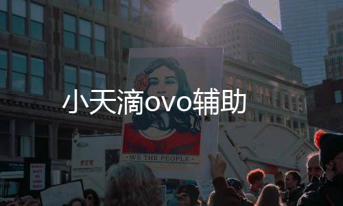 小天滴ovo辅助