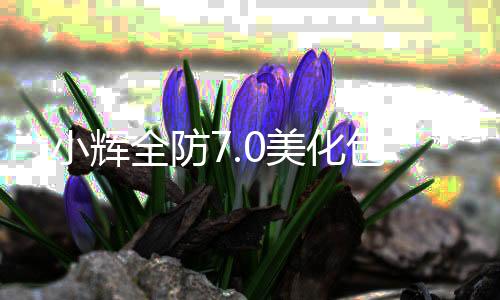 小辉全防7.0美化包