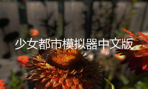 少女都市模拟器中文版