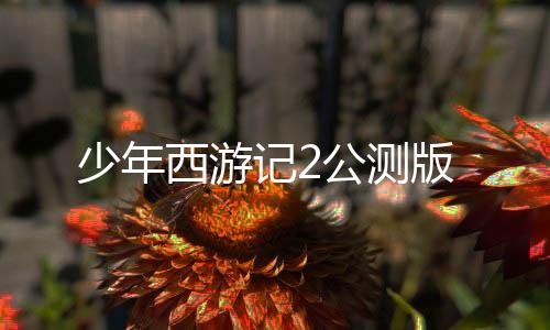 少年西游记2公测版