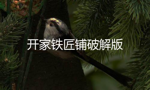 开家铁匠铺破解版