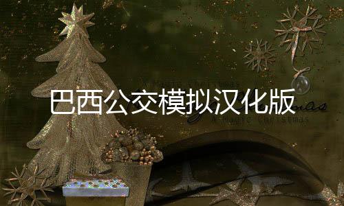 巴西公交模拟汉化版