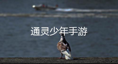 通灵少年手游