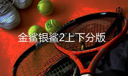 金鲨银鲨2上下分版