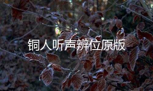 铜人听声辨位原版